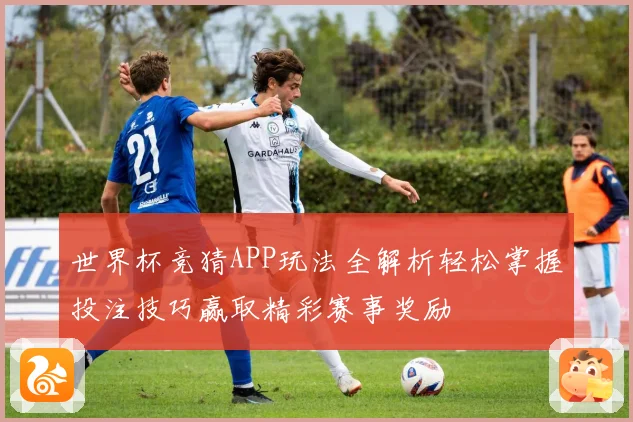 世界杯竞猜APP玩法全解析轻松掌握投注技巧赢取精彩赛事奖励