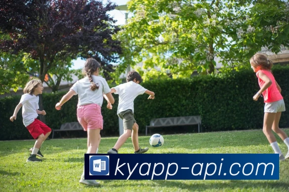 开云平台展示图